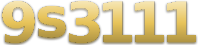 9s3111 logo